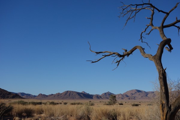 namibie171-desert